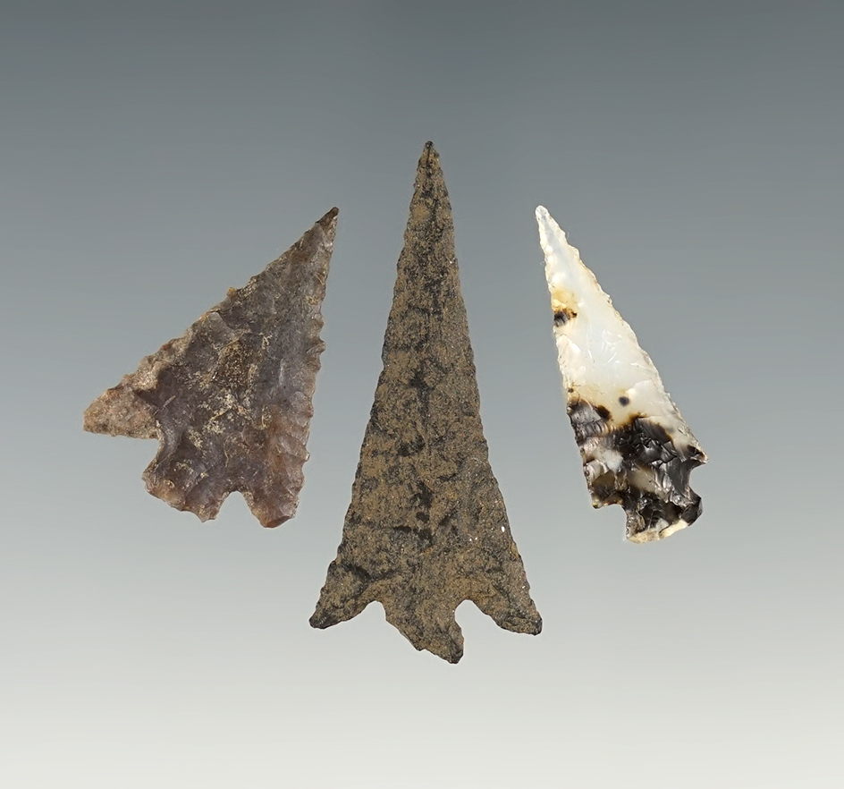 Set of 3 nice WA Gem Points. 1 has a Jackson COA.