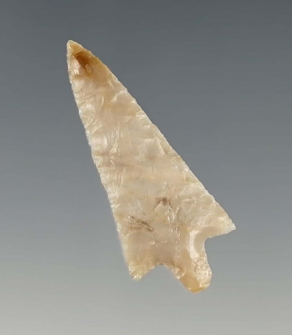 1 5/16" Rabbit Island - Washington.