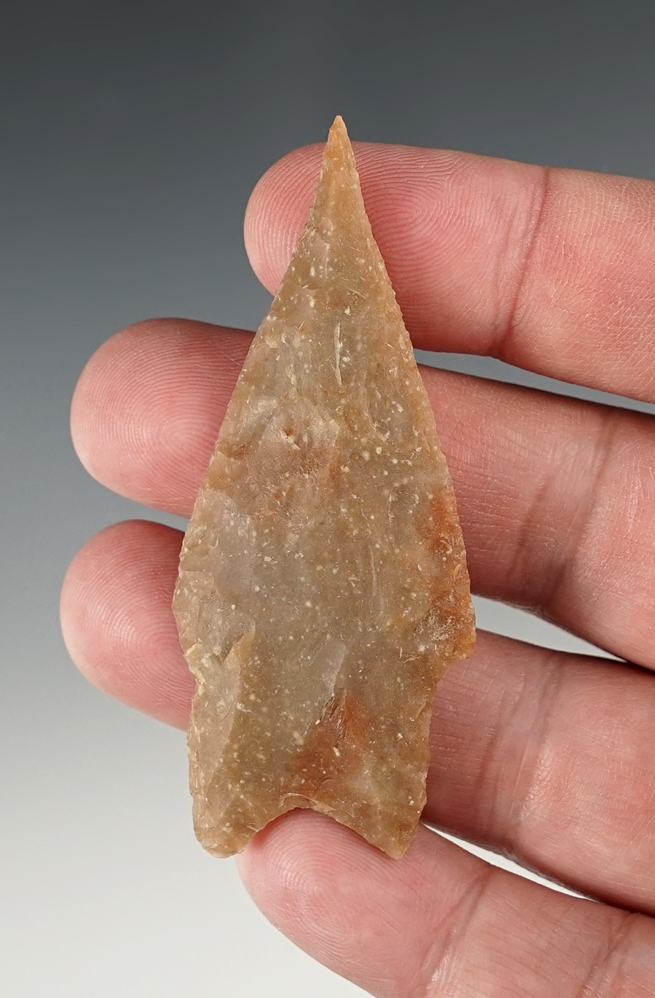 Finely made 2 7/8" Texas Pedernales. Rogers COA.