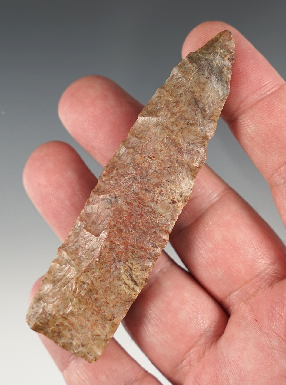 3 11/16" Woodland Lanceolate Knife - KY/TN.