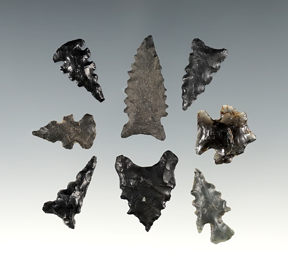 Set of 8 nicely serrated points found in New Mexico.