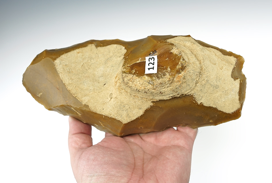 9" Mesolithic Core - Le Grand Pressigny in Loire Valley.