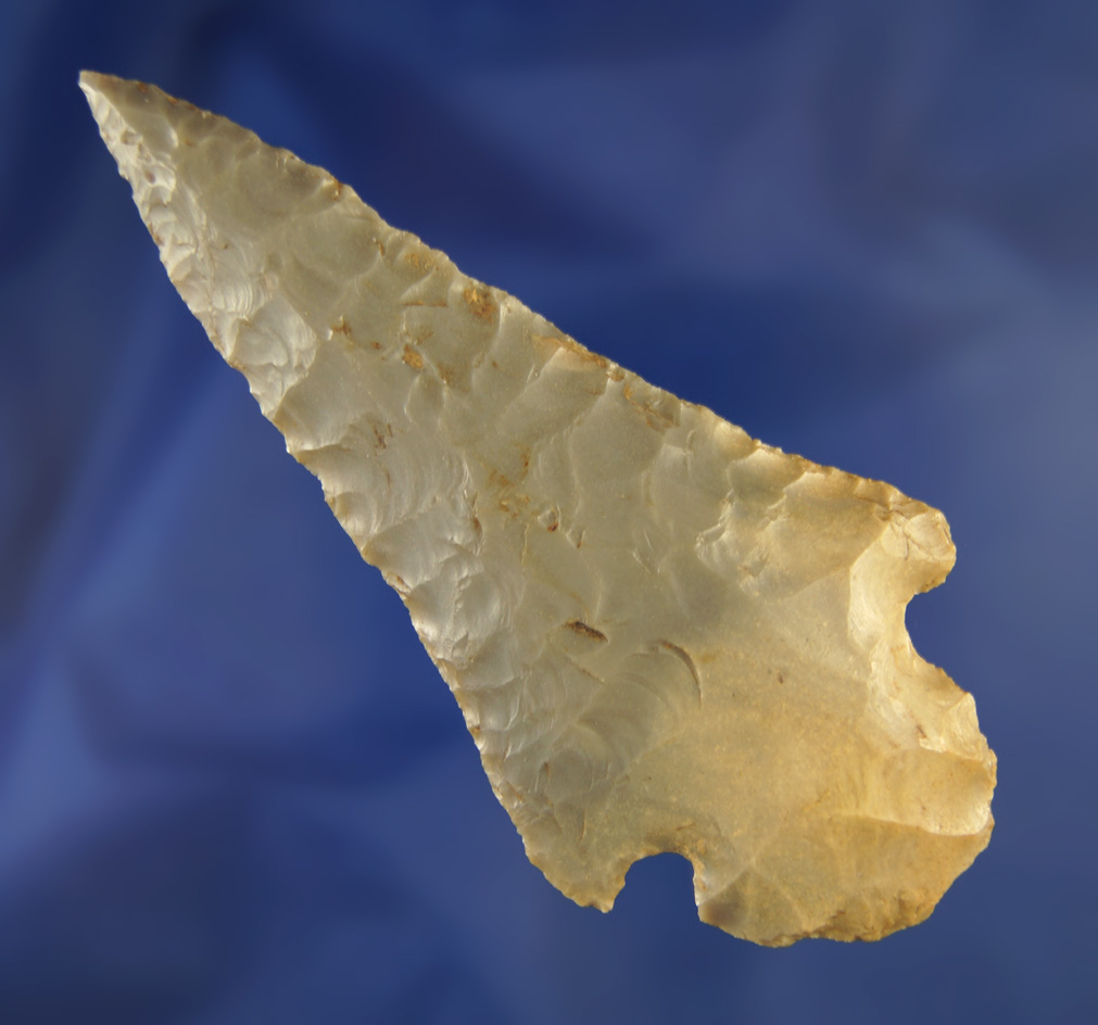 3 7/8" Hornstone Turkeytail that is well flaked with a needle tip found in Harrison Co.,  Indiana.