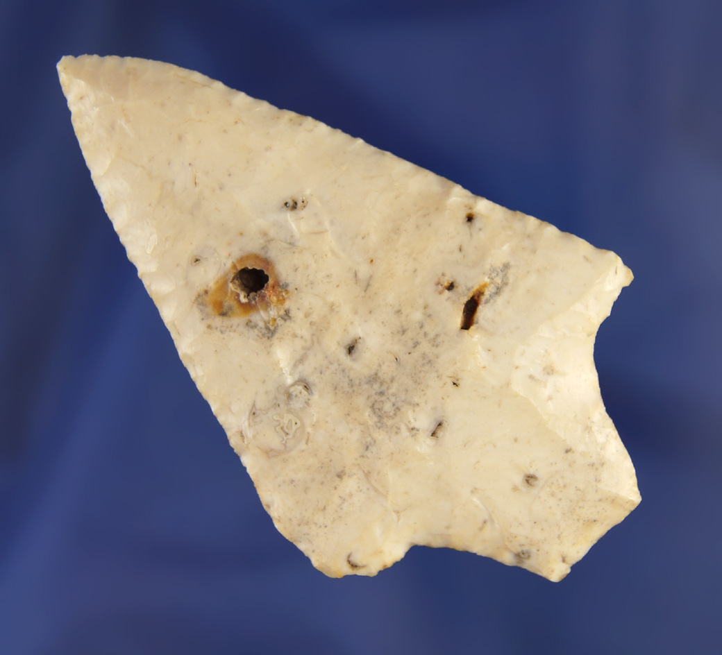 3 1/8" found in Manatee Co.,  Florida.  Ex. Robert E. Barr, Len Weidner collections. Pictured.