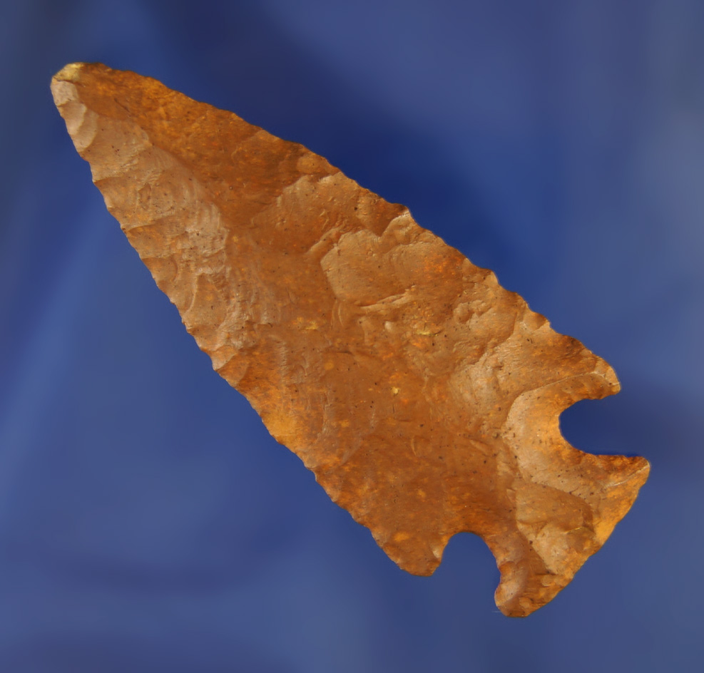 2 13/16" found near the Santa Fe River, Alachua Co.,  Florida. Ex. Robert E. Barr, Len Weidner.