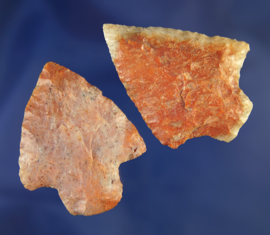 Pair of beautifully colorful Florida points found in Pascoe Co.,  Florida. Largest is 1 7/8"