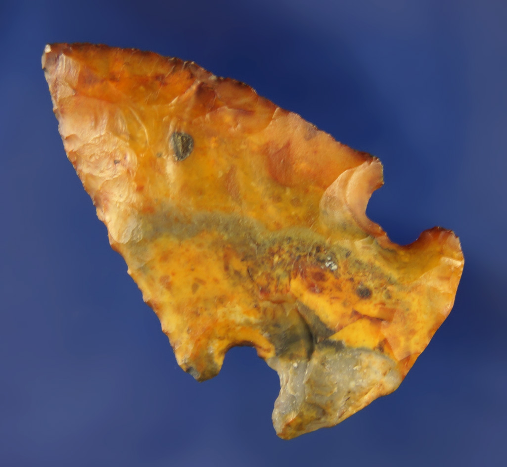 1 7/8" found near the Santa Fe River, Alachua Co.,  Florida. Ex. Robert E. Barr, Len Weidner