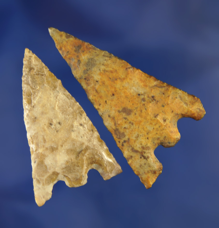 Pair of well patinated Hernando points,  found near the Santa Fe River, Alachua Co.,  Florida.