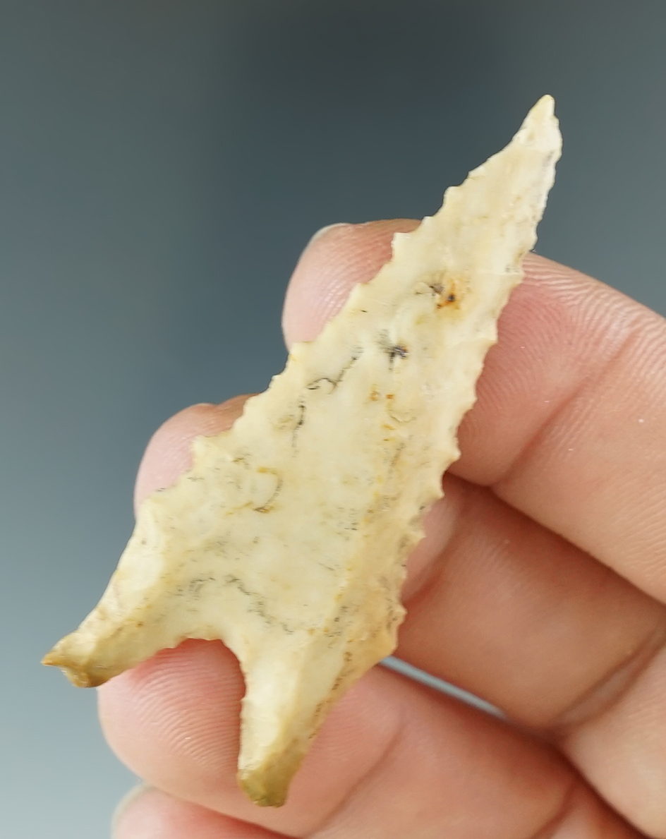 2 1/16" Dalton made from Crowley's Ridge Cobble Chert, found in Clay Co., Arkansas. COA.