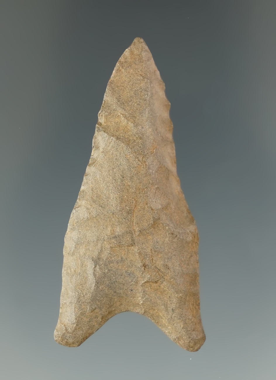 1 15/16" Dalton made from Ouachita Quartzite found in Greene Co., Arkansas. Partain COA.