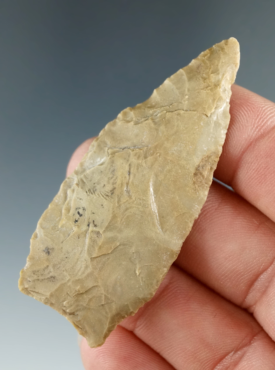 Very thin 2 5/16" Stemmed Dart found in Green Co., Arkansas.