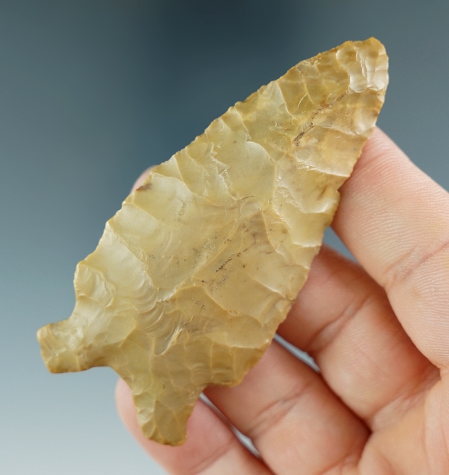 2 15/16" Dalton made from Crowley's Ridge Cobble Chert, found in Clay Co., Arkansas. COA.