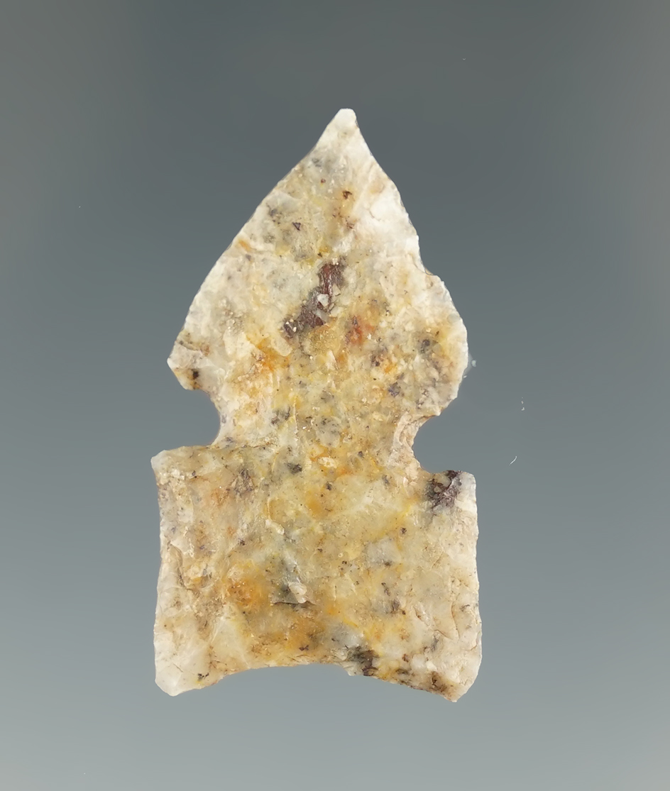 Nice! 1 7/16" Sudden Sidenotch found in San Juan County New Mexico near Farmington.