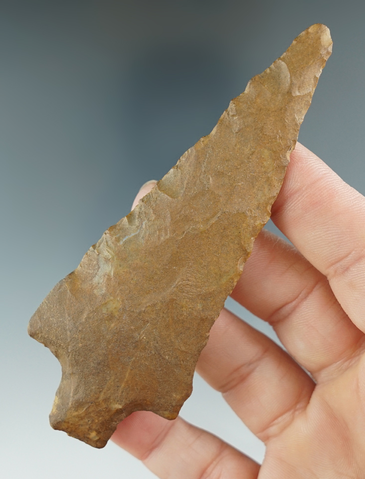 4 11/16" Smithsonia made from Ft. Payne Chert, found in Limestone Co., Alabama. Davis COA.