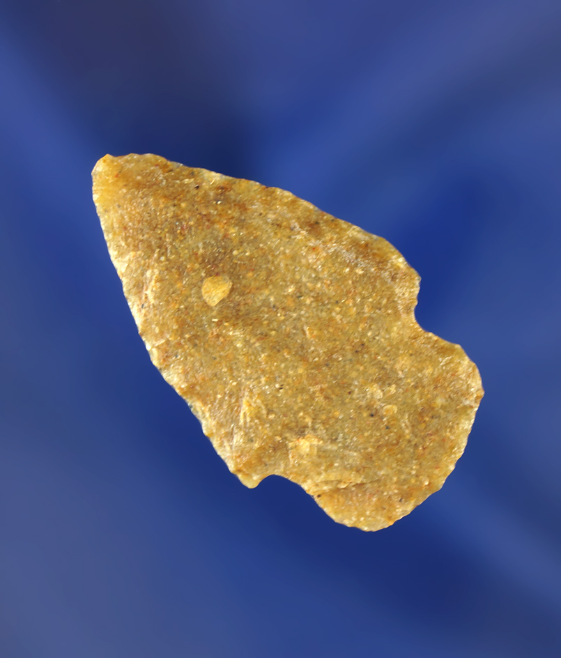 1 3/8" Mount Albion point. Wyoming.