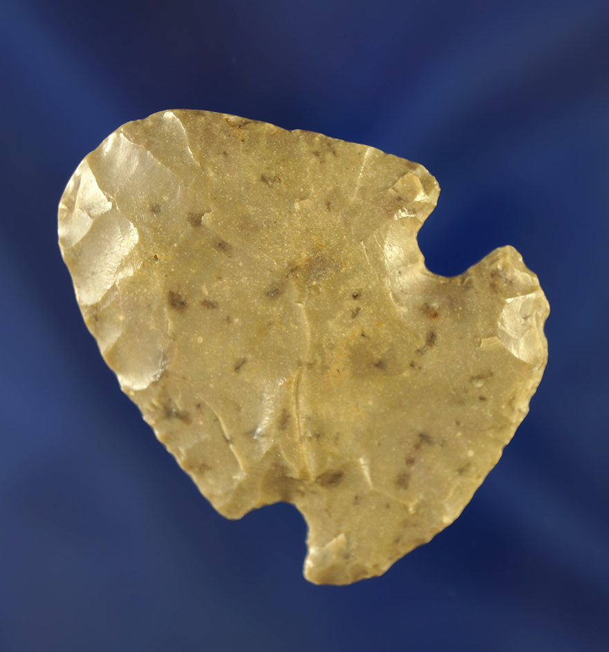 Nicely styled large 1 11/16" Besant hafted scraper. Wyoming.