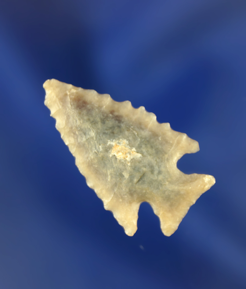 1 1/8" Foothill Corner Notch high-quality semi-translucentwith exceptional serrations. Wyoming.