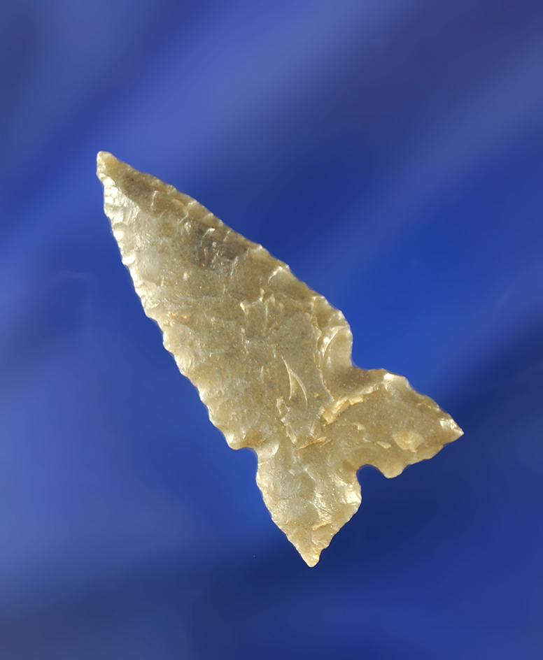  1 1/4"  thin and very nicely flaked Mallory. Found by Karl Krusmark in the early 1900's in the Casp