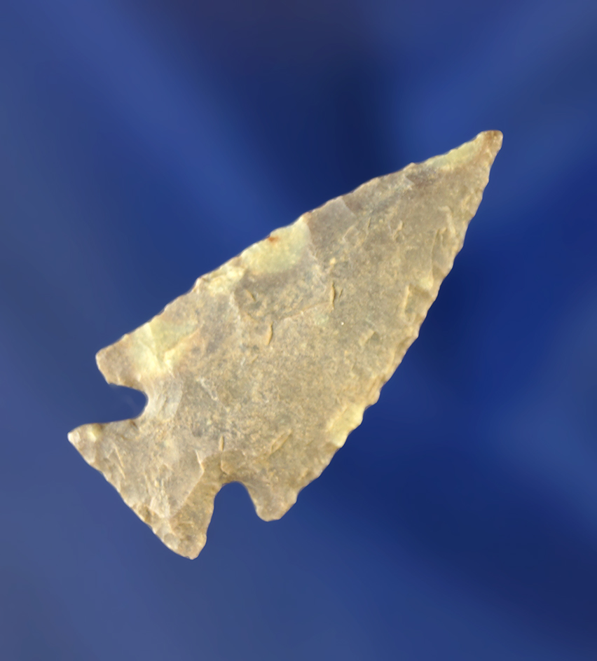 1 5/16" Pelican Lake point - mottled purple and green tint chert that is well flaked. Wyoming.