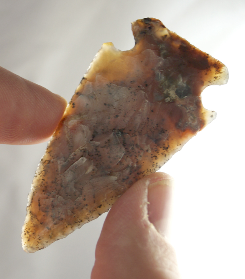 Sale Highlight! This is one of the nicest High Plains points we have had come to auction!