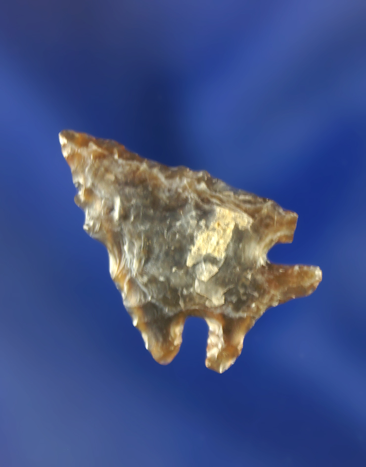 1" Plains Corner CornerNotch made from beautiful semi translucent material. Wyoming.