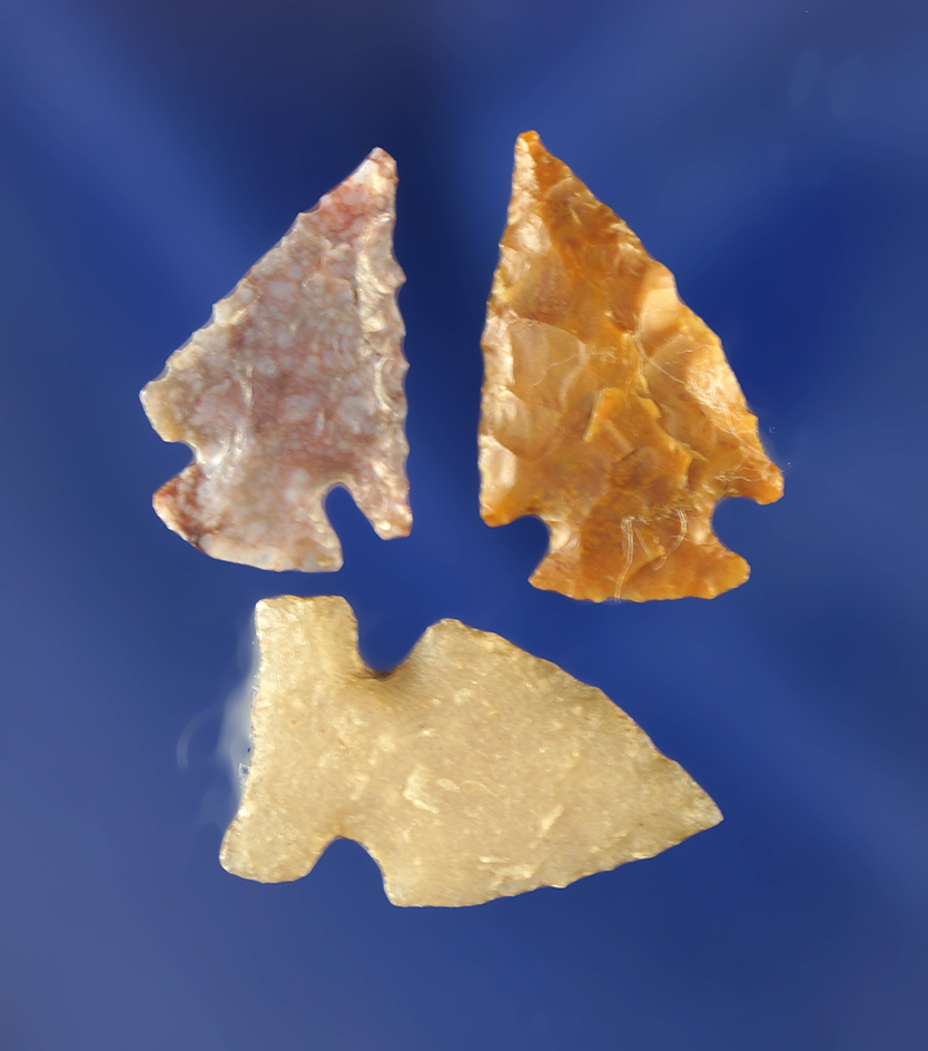 Set of three arrowheads in good condition, largest is 7/8". Wyoming.