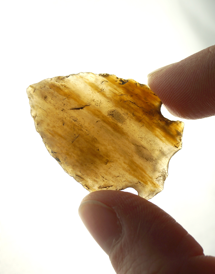 1 7/16" Oxbow made from beautiful translucent striped Agatized Wood. Wyoming.