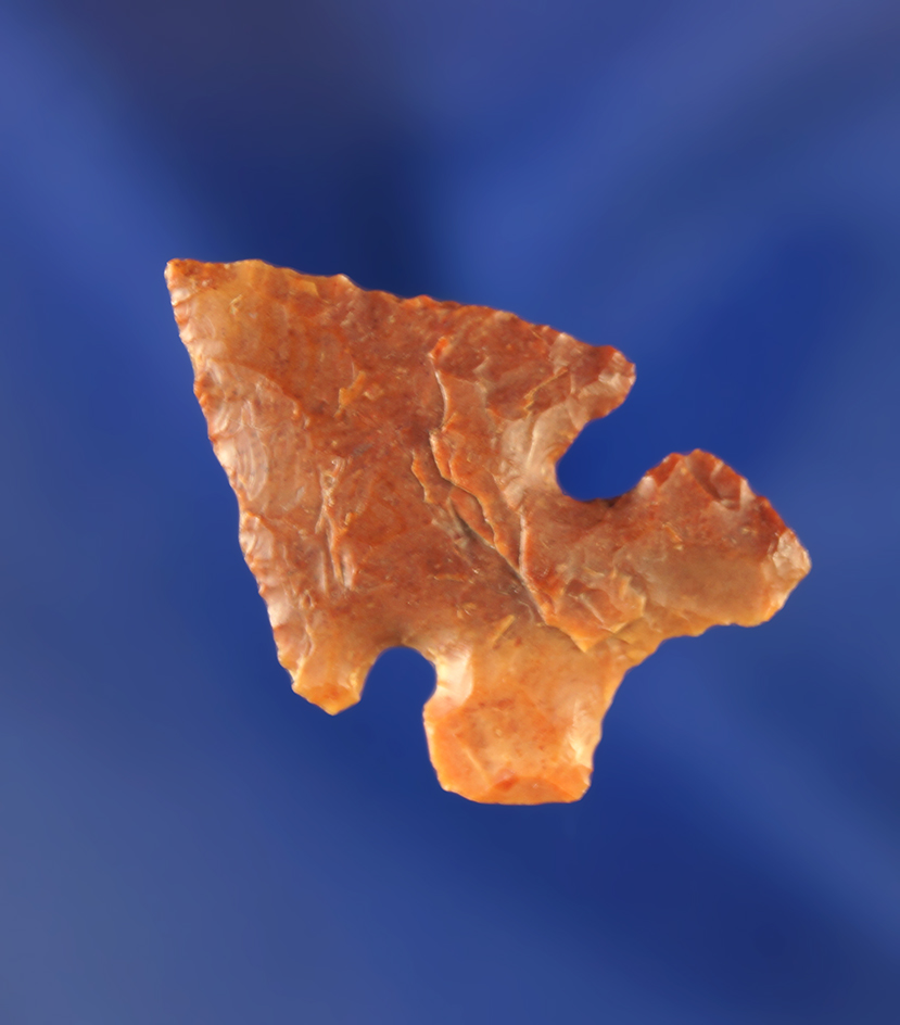 1 3/16" Lookingbill made from attractive multicolored orange Flint. Wyoming.