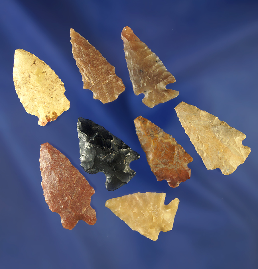 Set of eight assorted arrowheads, largest is 1 5/16". Wyoming.