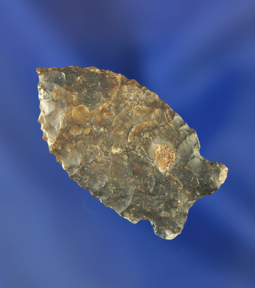 Incredible edge serrations and needle tip on this exceptionally thin  Oxbow point. Wyoming.