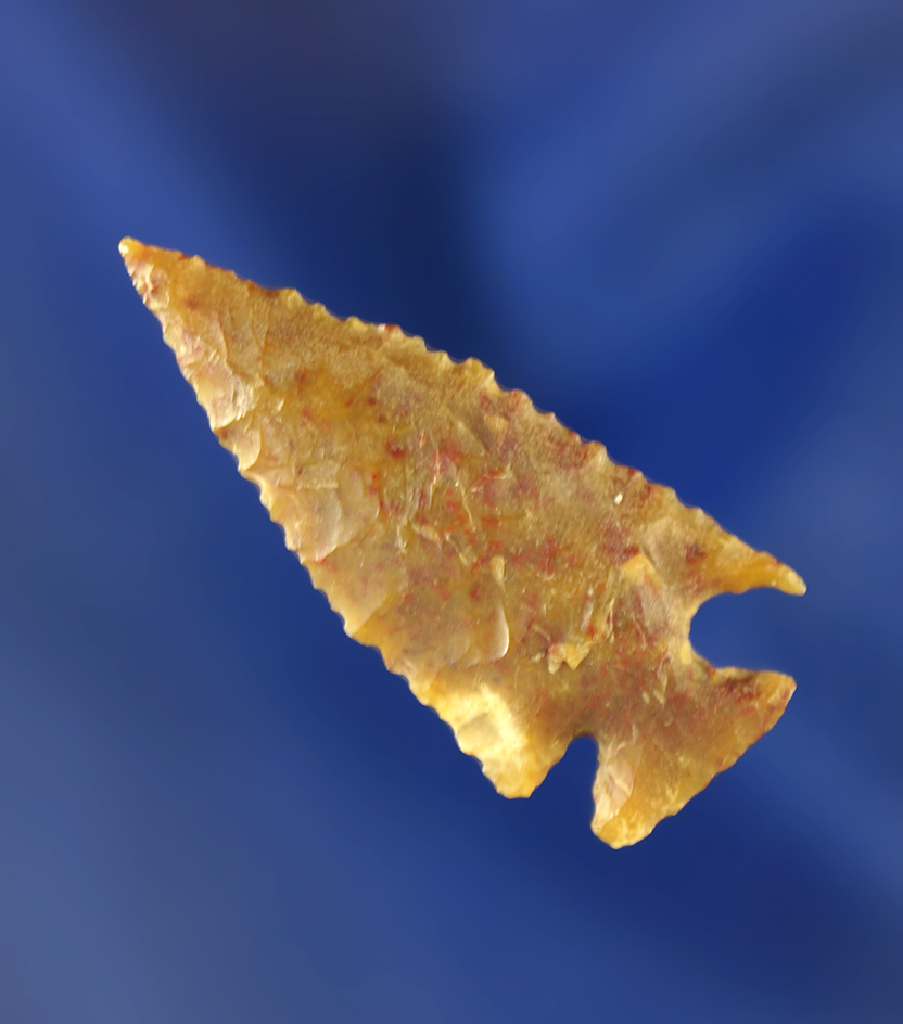 Nice! 1 3/8" Foothill Corner Notch - thin with excellent style and nice micro-serrations. Wyoming.