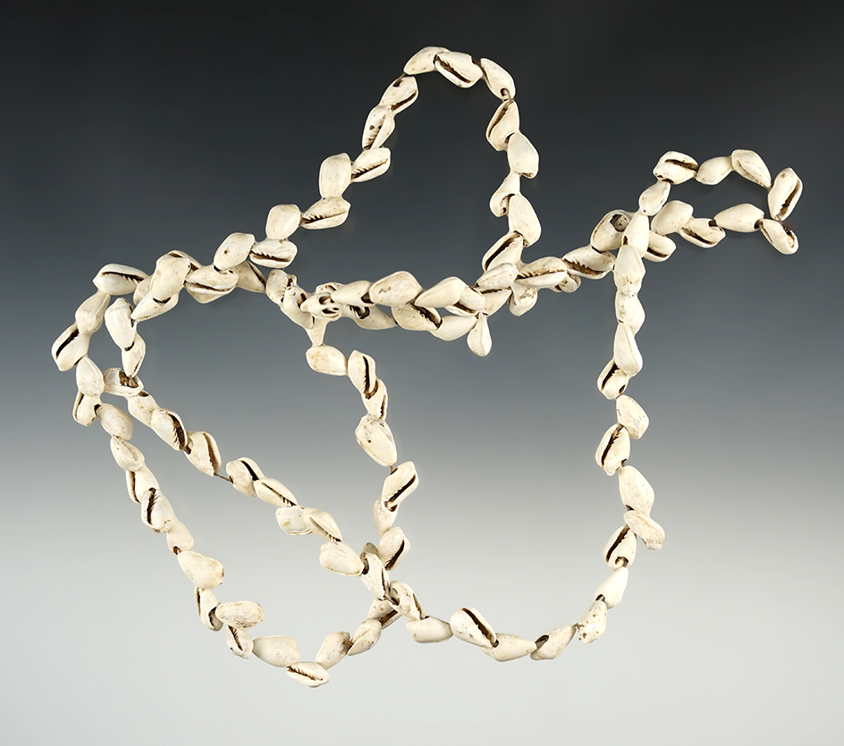 32" Shell Necklace in nice condition.