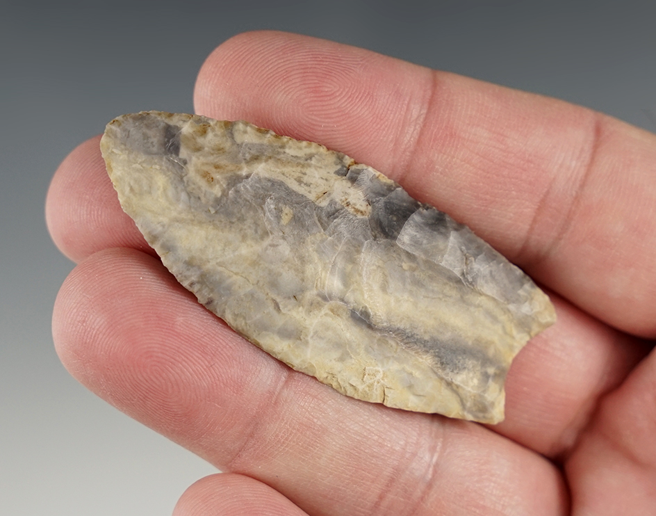 2 7/16" Paleo Clovis made of colorful Mozarkite. Found in Missouri. Comes with a Bennett COA.