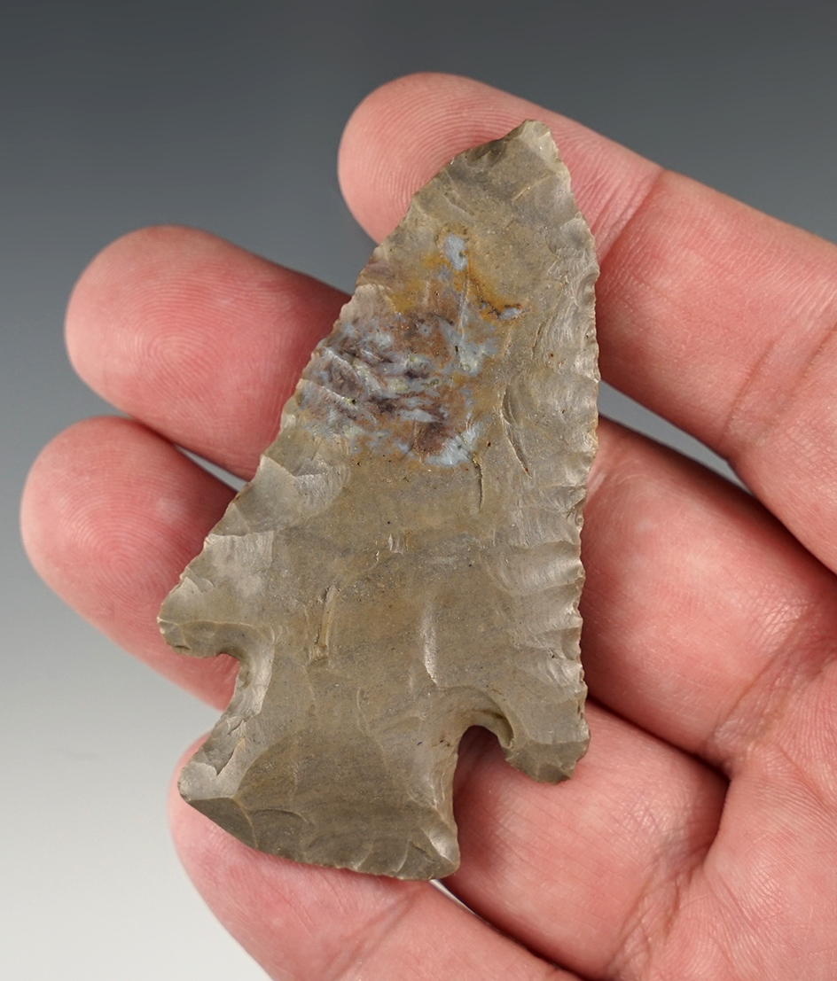 2 3/4" Lost Lake found in Muhlenburg Co., Kentucky. Comes with a Davis COA.