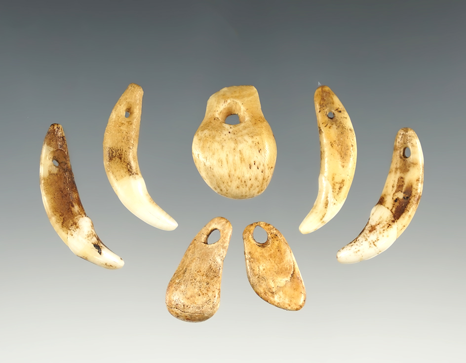 Set of 9 Bone Pendants, 3 Eye and 4 Canine. The largest is 2 5/16".