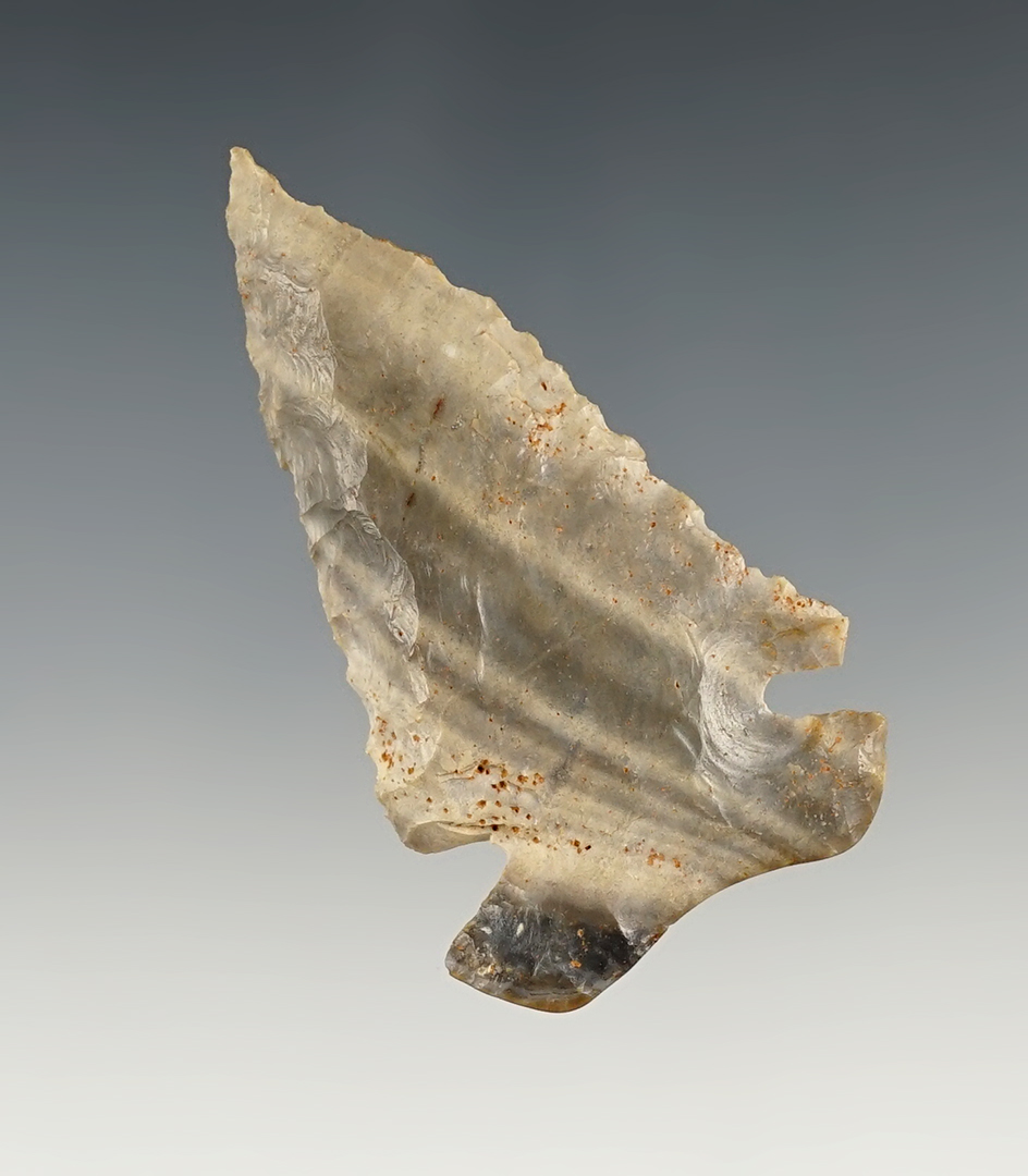 Nice 2 1/2" Dovetail - Tyrone chert. Hickman Co., Kentucky. Comes with a Davis COA.