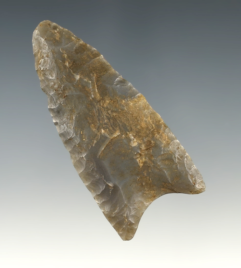 2 1/2" Paleo Fluted Clovis - modern retouch to the tip area. Found in Southern Indiana.