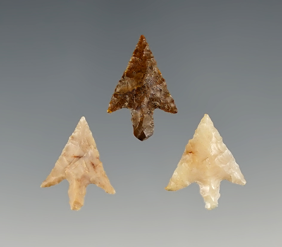 Set of 3 Rabbit Island points - Klickitat Co., Washington. Ex. Frank Buehler. The largest is 3/4".