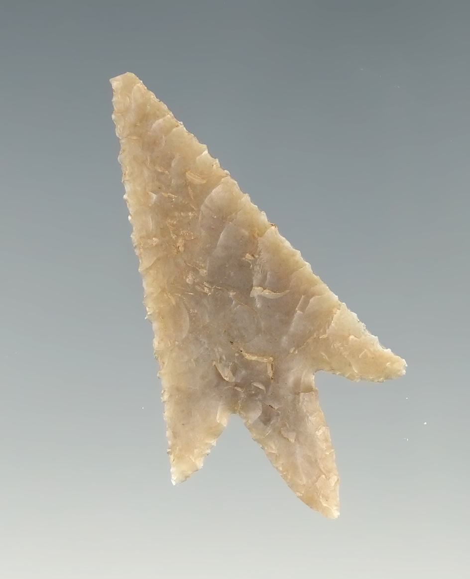 Incredibly thin and well flaked 1 9/16" Perdiz found in Texas.