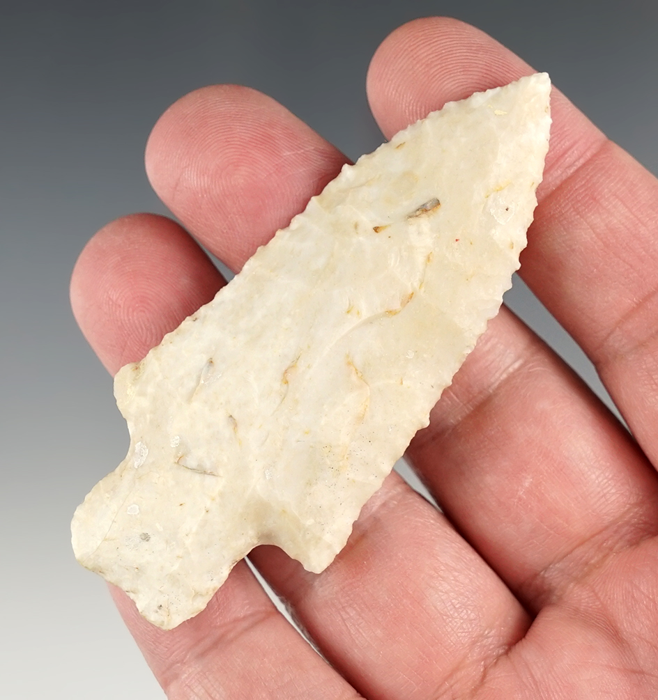 Superb 3 1/8" Heavy Duty found in Adams Co., Illinois. Comes with a Motley COA.