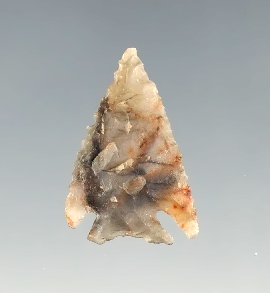 13/16" Finely made and serrated Bird Point from  Agate. Found close to the Feather River, CA.