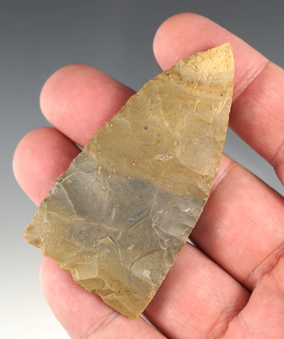 2 13/16"Copena found by Ronnie Wininger in Western Tennessee close to the TN River.