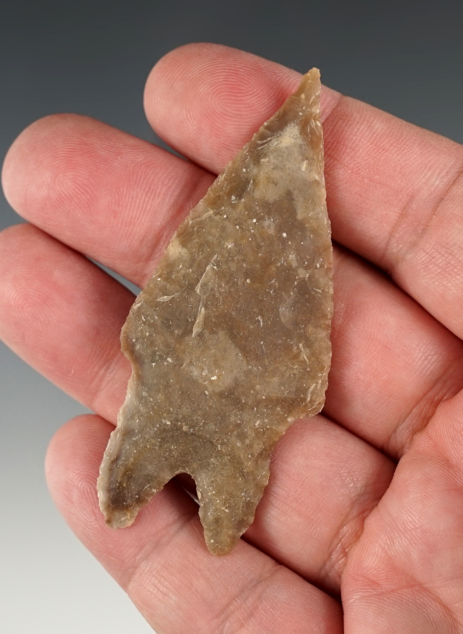 Well made 2 7/8" Pedernales found in Bandera Co., Texas. Comes with an Arnold COA.