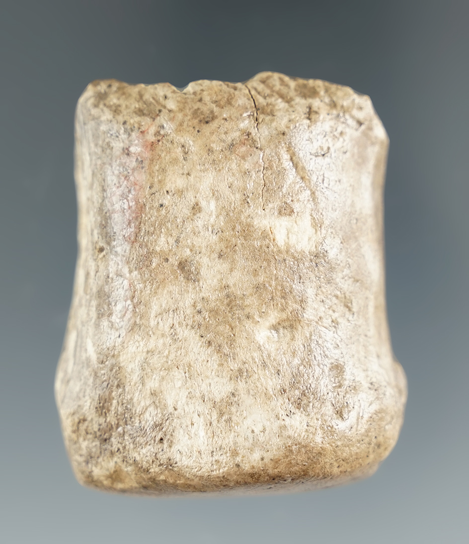 1 13/16" section/half of a rare antler bannerstone found in Logan County Kentucky.