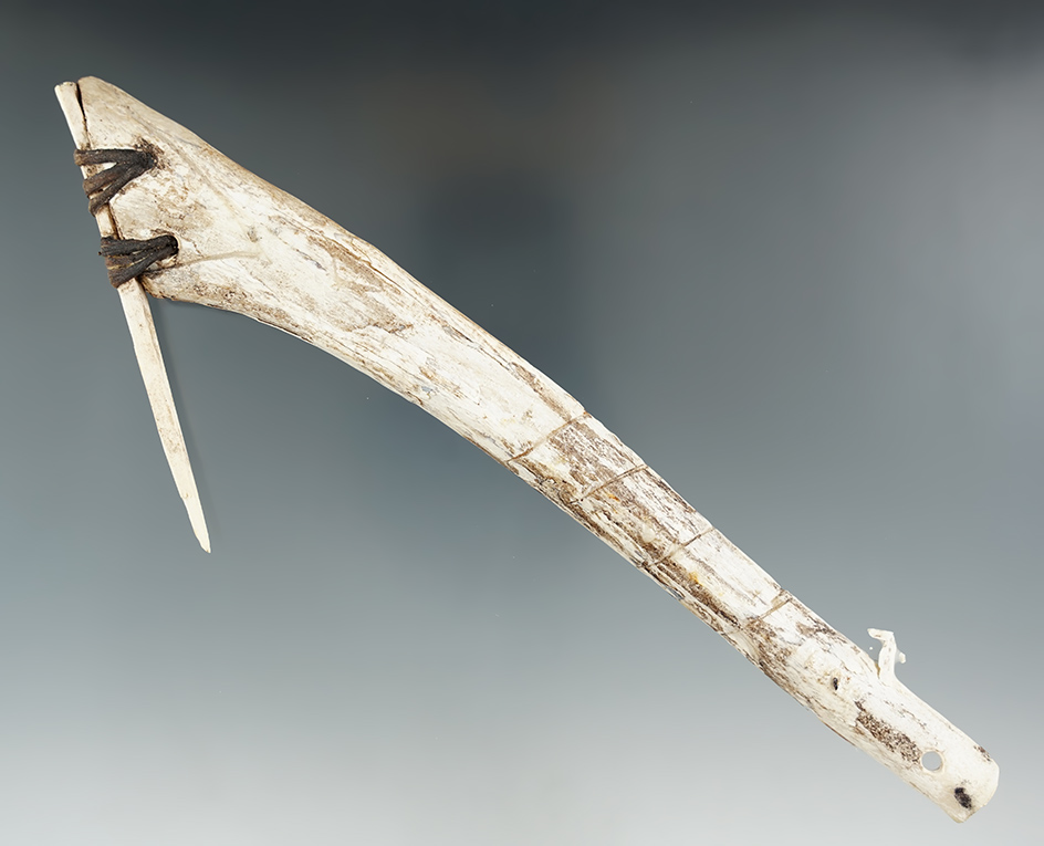 Large! 8 5/16" composite bone fishing hook with original sinew attachment - Alaska.