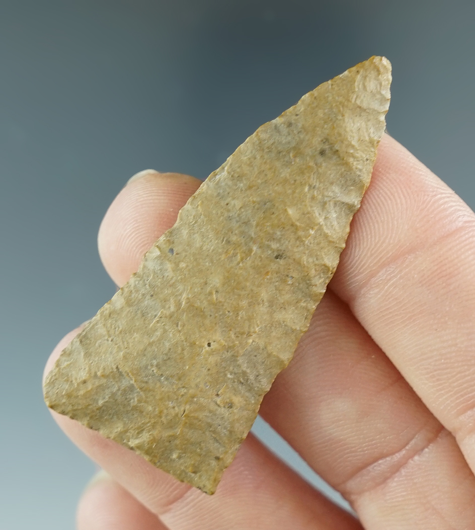 2" Scottsbluff found near the Salmon River in Idaho in the 1950's. Ex. Jim Hogue Collection.