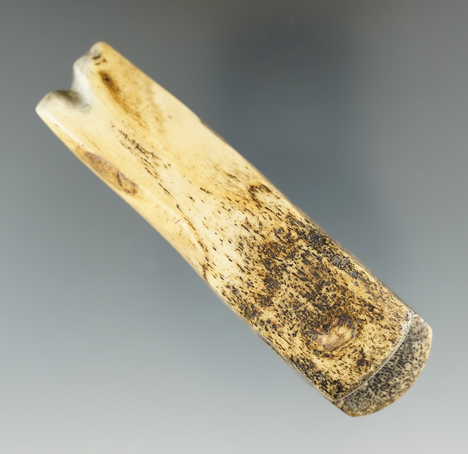 Unique artifact! 3 7/16" burnishing tool for leather working made from bear bone.