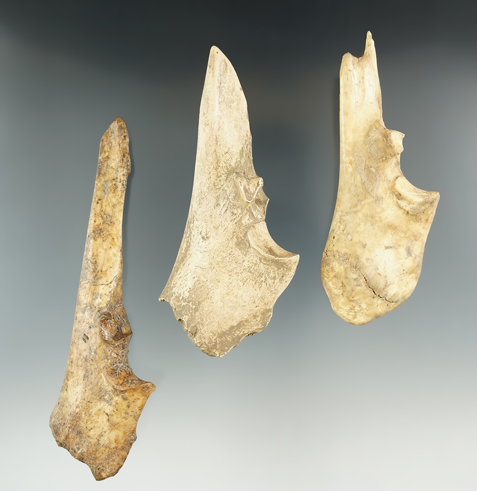 Set of three bone Trigger Awls found in Kentucky from the Henry English collection.