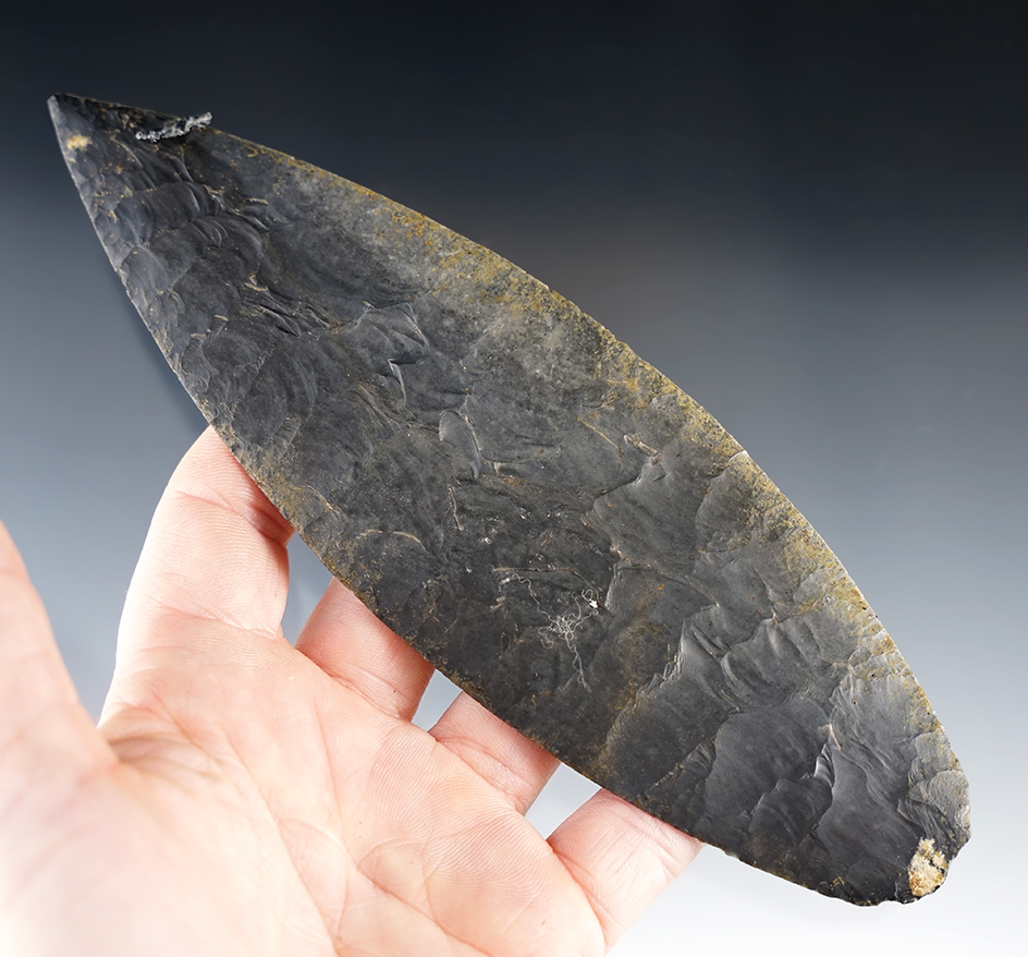 6 1/2" Blade Colha Chert, Belize.