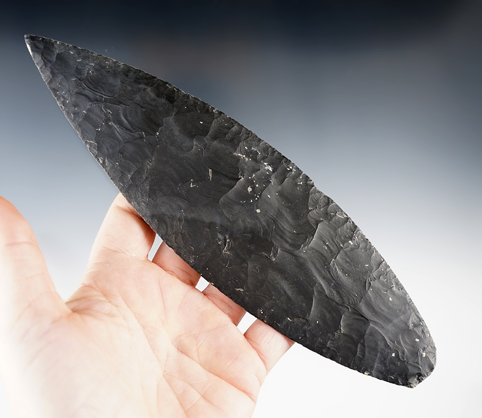 7 3/4" Blade, Colha Chert, Belize.